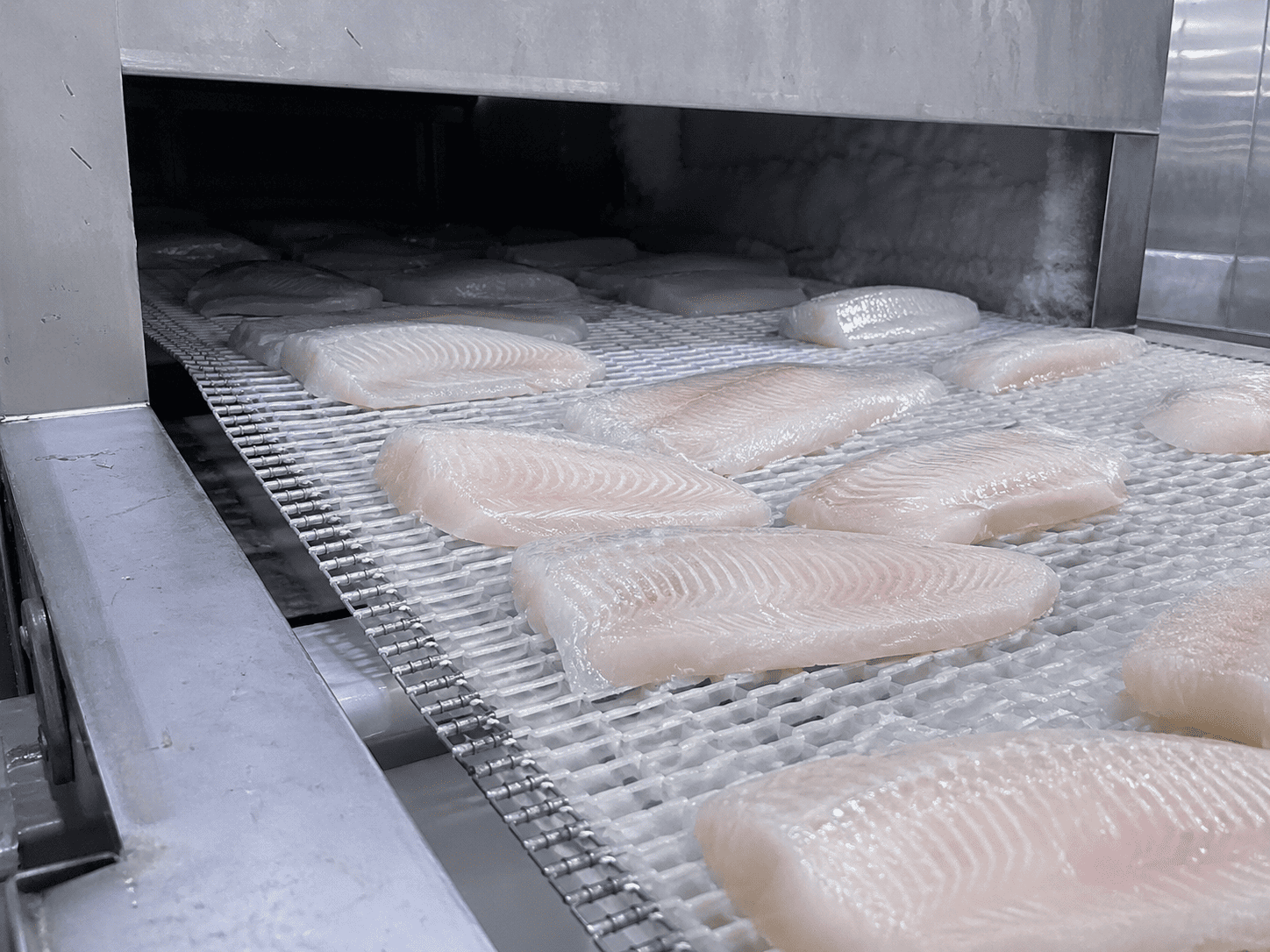 Dori Fillet Glazing 50%